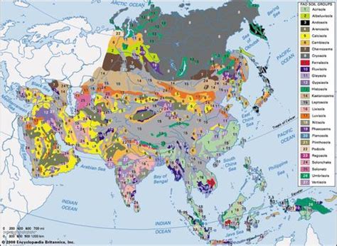 Vegetation Zones In South Asia Andi Healthy