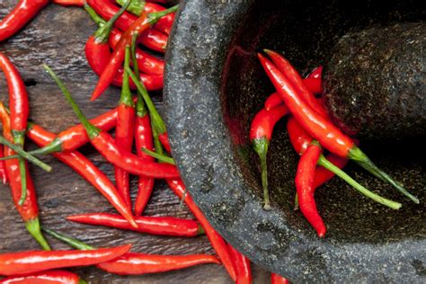 Eating Too Much Spicy Food May Increase Dementia Risk Study Trending