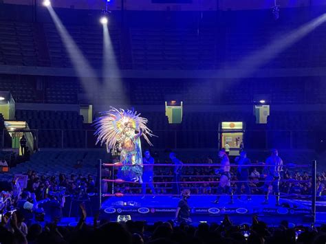 Lucha Libre Exoticos Gender And Sexuality