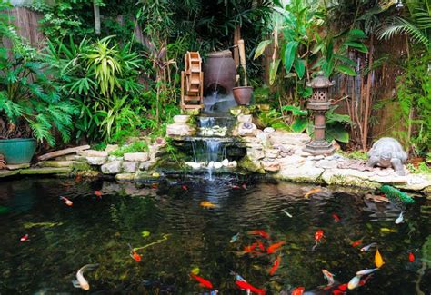 Maybe you would like to learn more about one of these? INSPIRING DO-IT-YOURSELF WATER GARDEN CONCEPTS | Waterfalls backyard, Ponds backyard, Water ...