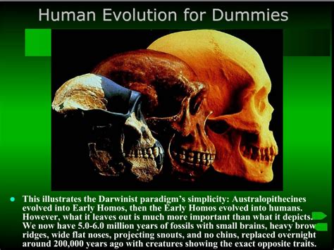 Human Evolution.swf / Evolusi Manusia