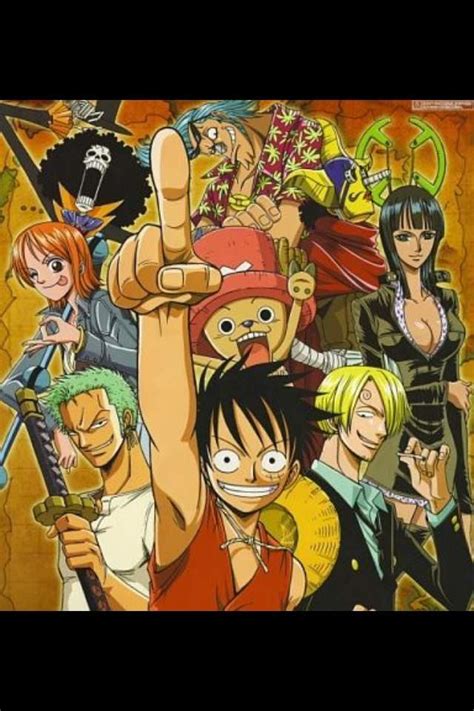 One Piece Anime Amino