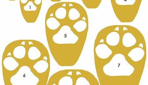 Puppies Paw Size - How Big Will Your Puppy Be According To His Paws