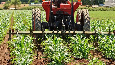 Benefits Achieved By Introducing Row Crop Tractors Into The Farming
