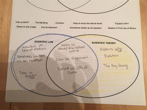 Diagram Scientific Law And Theory Venn Diagram Mydiagramonline