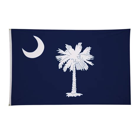 South Carolina 4 X 6 State Flag Fly American Flags