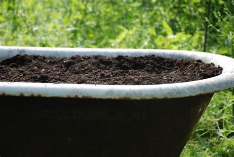 It offers perfect drainage, protection from pests, and easy access to crops. Easy Raised Bed Garden Idea: Plant a Vintage Bathtub