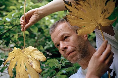 Wolfgang Tillmans Adjusts His Focus In Search Of Truth
