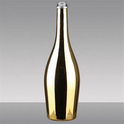 Champagne Gold Wine Bottle Electroplated 750ml Display