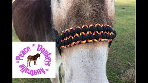 Check spelling or type a new query. Wide paracord noseband for rope horse halter - KBK bar | Paracord, Paracord projects diy, Horse diy