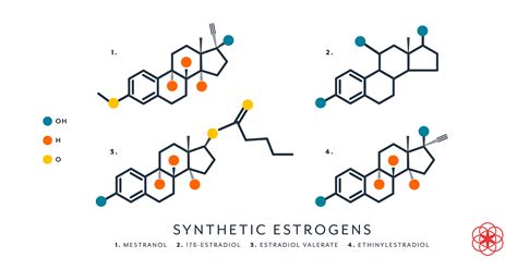 Synthetic Estrogen 101