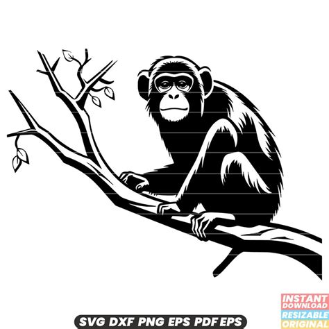 Monkey Svg Monkey Dxf Monkey Png Digital Designs Instant Download 3