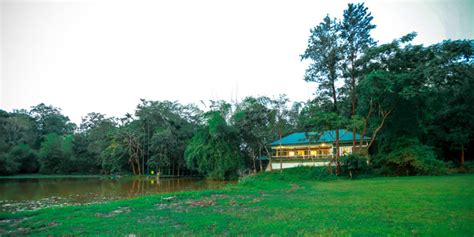 Forest Stay At Rainforest Resort Pulpally Forest Dam View Resort Wayanad
