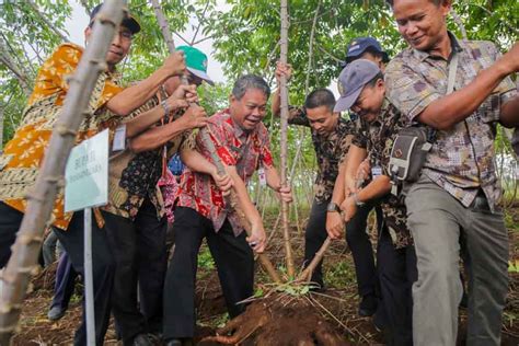Kementan Siap Bantu Banjarnegara Jadi Kawasan Percontohan Ubi Kayu