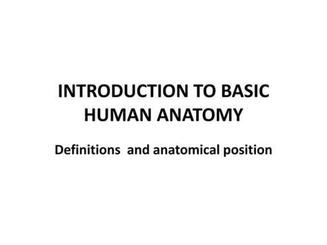 Introduction To Basic Human Anatomy Ppt