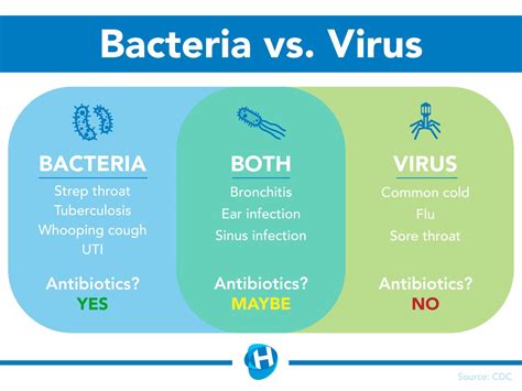 Bakterielle vs virale Infektionen Unterschiede werden erläutert