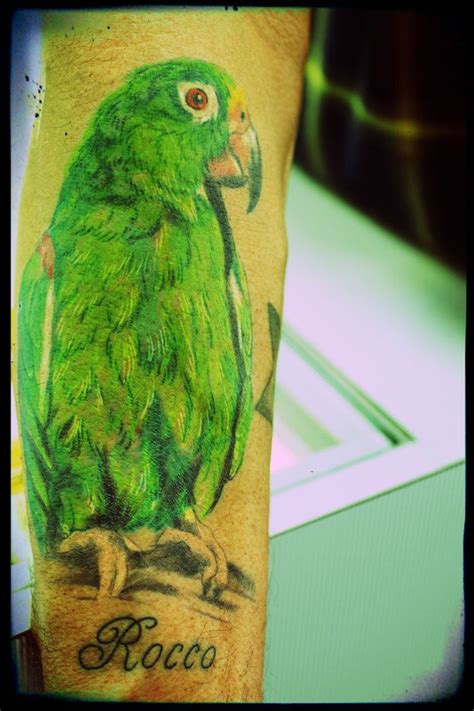 To book an appointment email:… macaw tattoo by matt stebly. green parrot tattoo - Google Search | Parrot tattoo ...