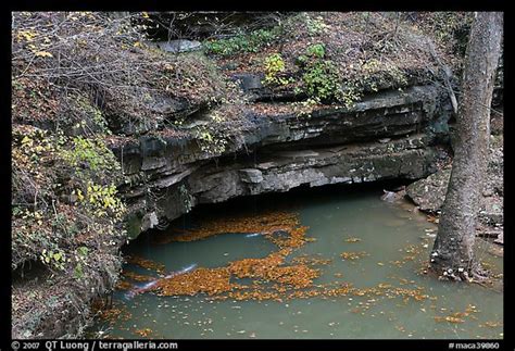 Picturephoto Styx Underground River Resurgence Mammoth Cave National