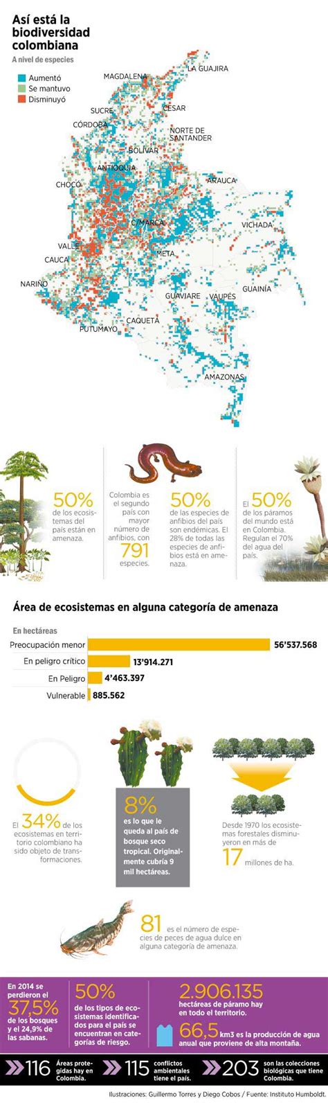 101 Imágenes E Infografías En Ecosistemas Ovacen
