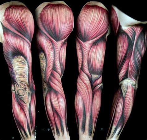 70 Cool Anatomical Tattoos For Men 2024 Inspiration Guide