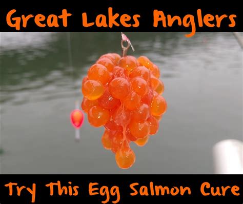 Great Lakes Anglers Try This Salmon Egg Cure Pautzke Bait Co