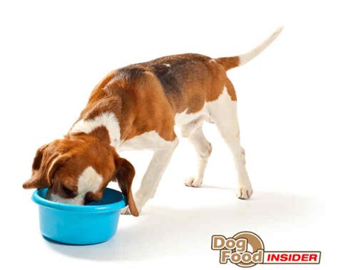 Ol' roy dog food was created in 1983. Ol' Roy Dog Food Review & Ingredients Analysis