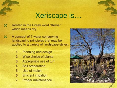 Ppt The Seven Principles Of Xeriscaping Powerpoint Presentation Free