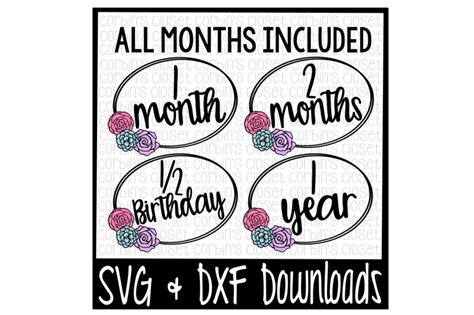 Monthly Milestone * Baby Monthly * Cut File By Corbins SVG | TheHungryJPEG.com