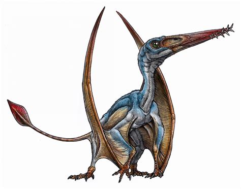 New Species Of Pterosaur Discovered In Patagonia