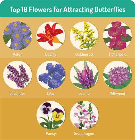 Top 10 Flowers That Attract Butterflies—and More Ways To Bring Them To