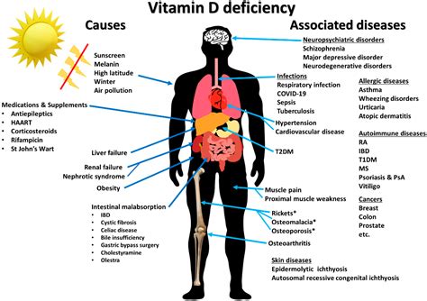 Nutrients Free Full Text Immunologic Effects Of Vitamin D On Human