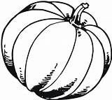 Pumpkin Coloring Printable Fall Drawing Outline Template Blank Patch Pumpkins Gourd Benefits Clipartmag Getdrawings sketch template