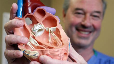 Heart valve replacement as easy as a trip to the dentist