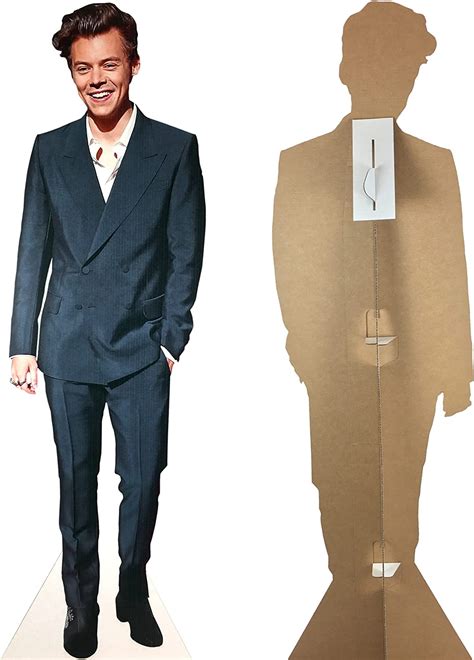 mosaic group harry styles life size stand up cardboard cutout standee poster to use as surprise