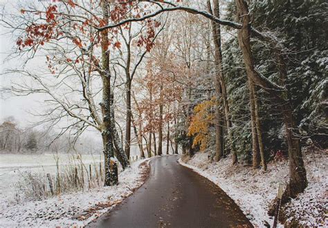 5 Reasons To Drive The Cades Cove Loop In Winter