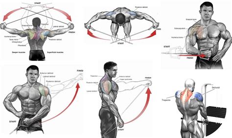 4 Cable Exercises To Build Boulder Shoulders Bodydulding