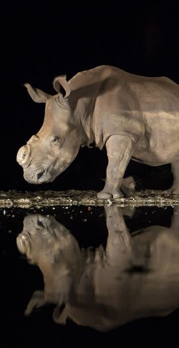 Photos Here Are The 2018 National Geographic Photo Contest Winners