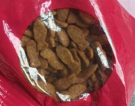 We did not find results for: Harga Makanan Kucing Felibite - Kucing.co.id