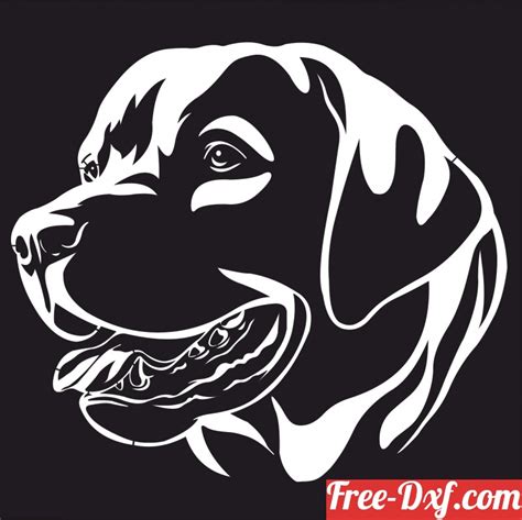 Download Labrador Dogs Wall Decor Fveti High Quality Free Dxf Fil