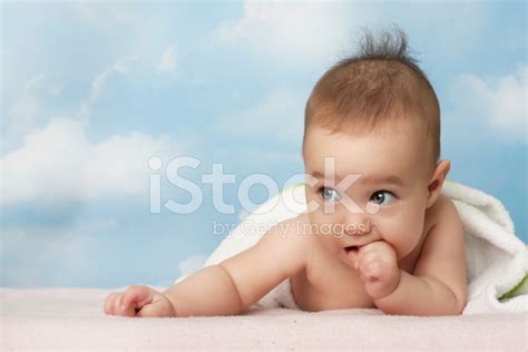 Sweet Baby Stock Photo Royalty Free Freeimages