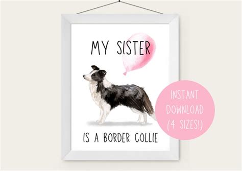 Digital My Sister Is A Border Collie Nursery Printable Wall Etsy