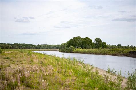 View Of The Tara River Omsk Region Siberia Russia Surroundings Of