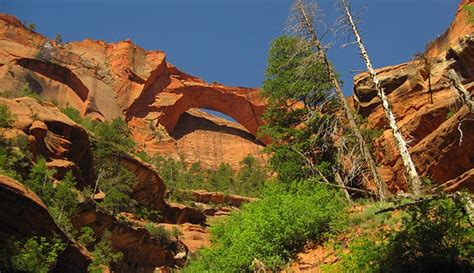 Natural Rock Arches In Zion National Park