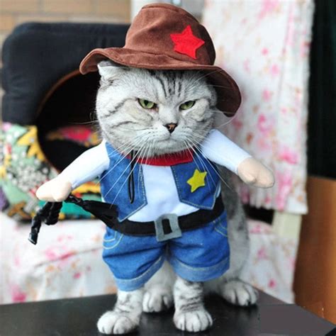 Funny Cat Cowboy Costume Perfect For Halloween Equipped With