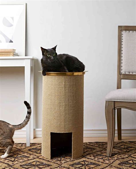 9 Cat Crafts That Are Perfect For Your Feline Friend