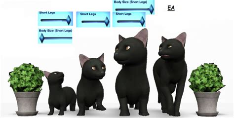 All Ages Cat Sliders By Oneeuromutt Слайдеры и моды для питомцев Sims