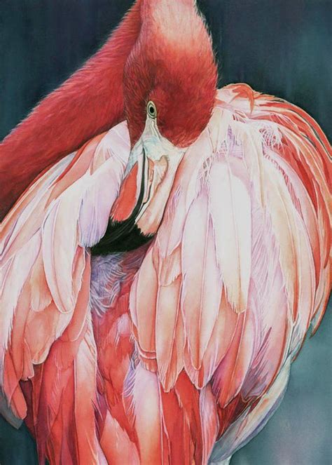 pink flamingo watercolor bird giclee print    watercolor bird flamingo painting flamingo