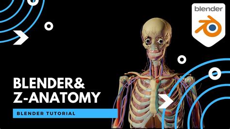 Essential Anatomy 3 Windows 15 Day Free Trial Holosersports