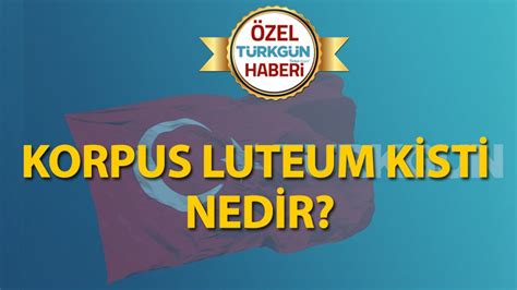 Korpus luteum kisti nedir Türkgün Türkçe Düşün Son Dakika Haberleri Güncel Haberler