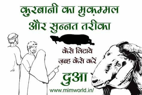 Kaise bachaye whatsapp ko spy apps se. Qurbani Karne Ka Sunnat Tarika Hindi Mein - mimworld.in